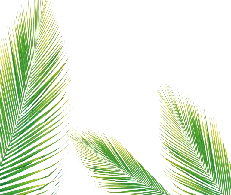 就労継続支援B型・生活介護施設レオン