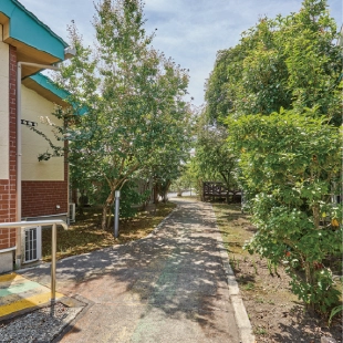 支援センタークレア